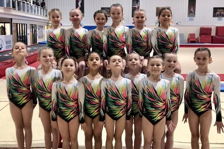 Hadleigh Stars Gymnastics — gymnastics-studio in Ipswich — 2