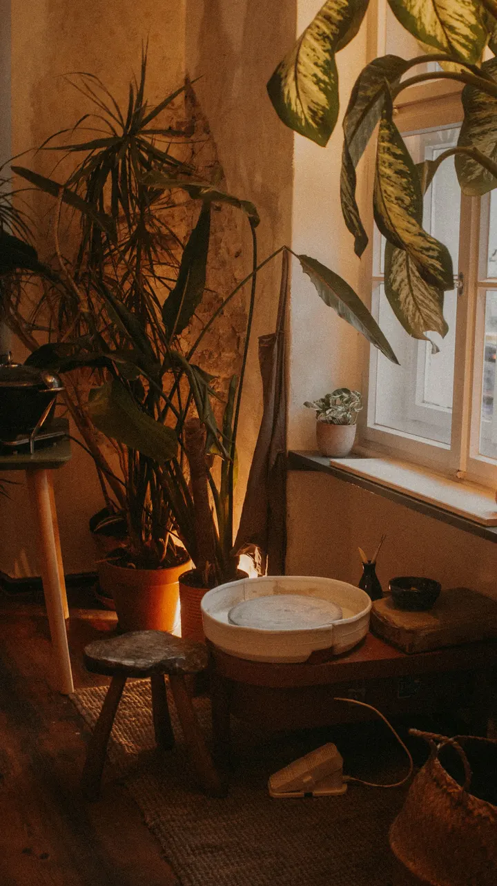 Surya Yoga @ Terra Latina — yoga-studio in Altstadt, Regensburg — 3