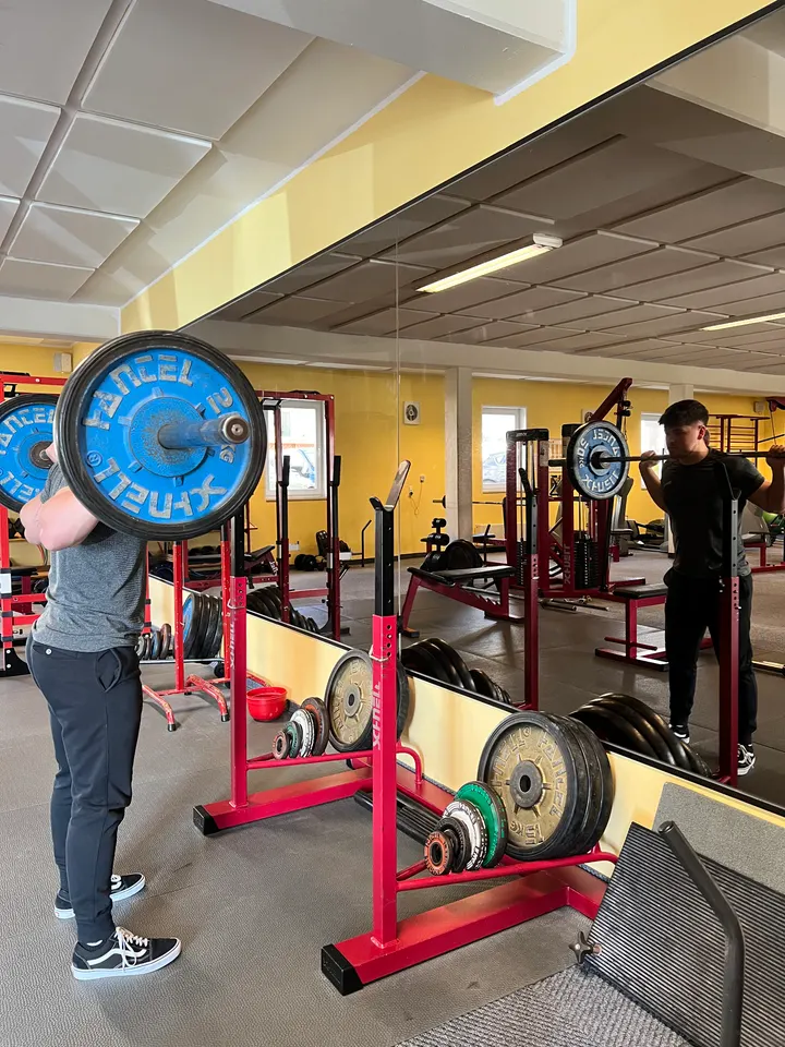Sport- und Trainingsstudio Horst Appel — krafttraining-studio in Niestetal-Heiligenrode — 3