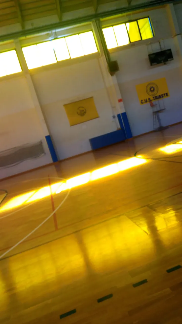 CUS Trieste — arti marziali-studio a Cologna, Trieste — 3