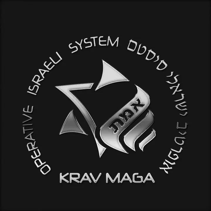 Krav Maga OIS BORDEAUX — arts martiaux-studio à Bordeaux — 3