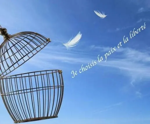 Espace Bien Être — méditation-studio à Laon — 3