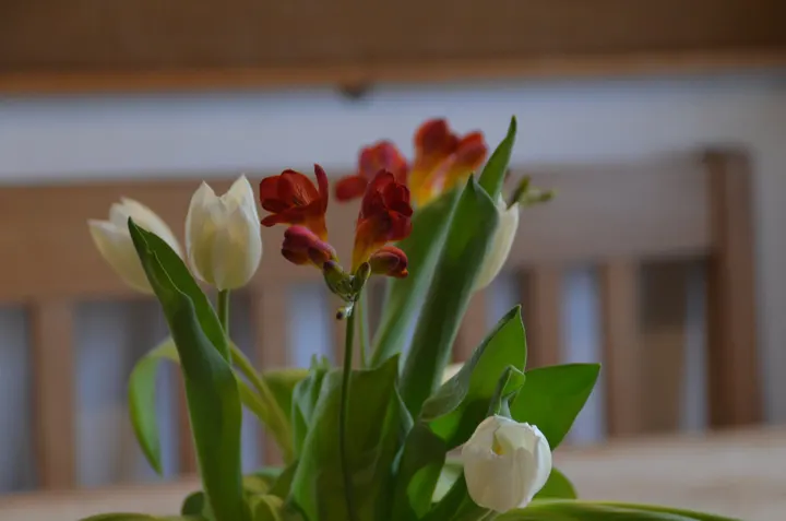 Somatics & Yoga — yoga-studio in Mannheim — 5