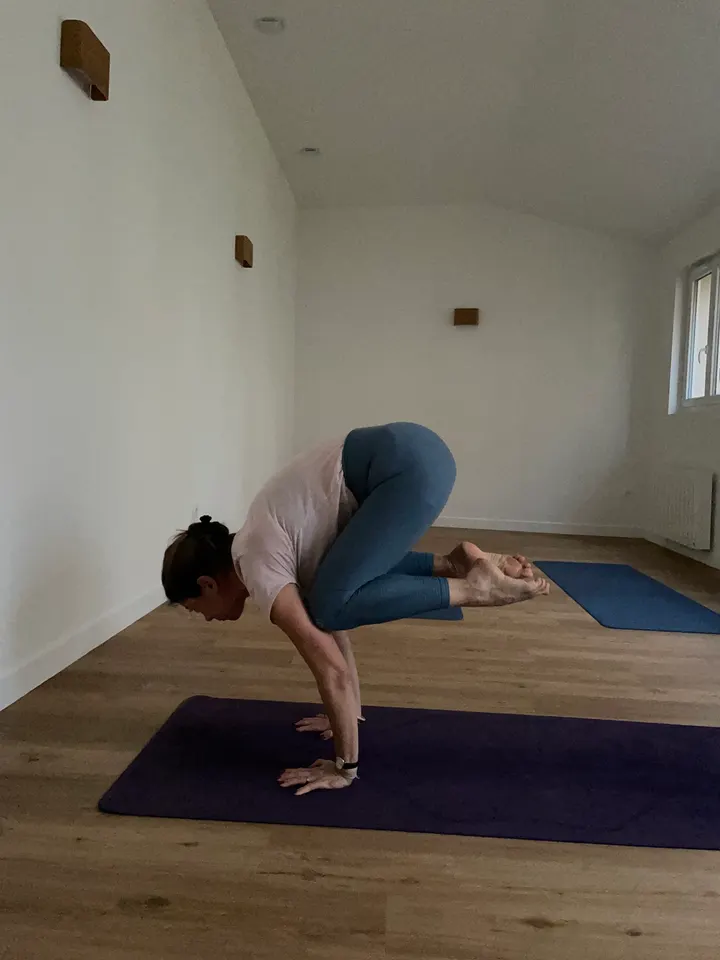 Atelier des Elephants — yoga-studio à Dijon — 3