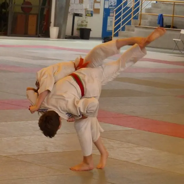 Dojo Nantais - École Notre-Dame de Lourdes — arts martiaux-studio à Pont du Cens - Côte d'Or, Nantes — 2