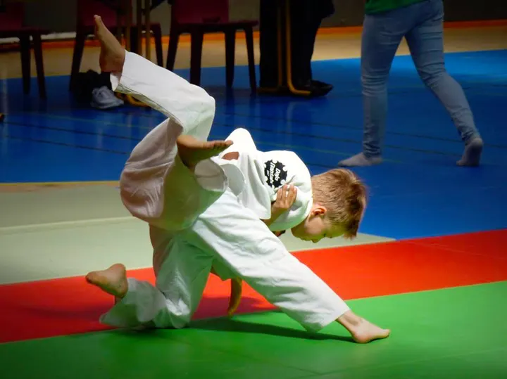 Dojo Nantais - École Notre-Dame de Lourdes — arts martiaux-studio à Nantes — 3