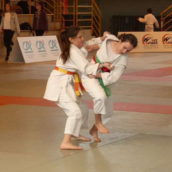 Dojo Nantais - École Notre-Dame de Lourdes — arts martiaux-studio à Nantes — 4