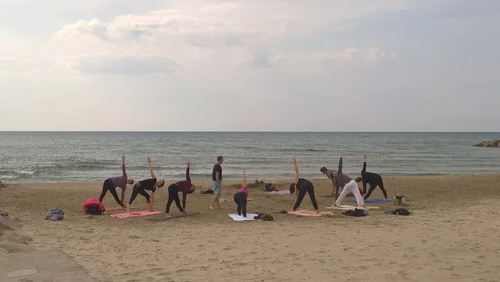 Vasudevo Yoga AVENUE MAURICE PLANES 34070 MONTPELLIER — yoga-studio aux Beaux-Arts, Montpellier — 2