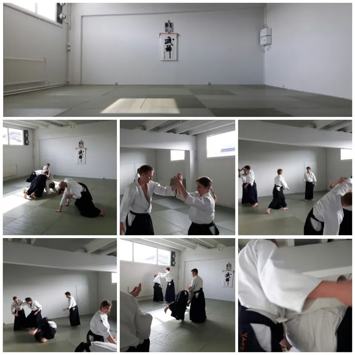Seigikai — kamppailulajit-studio – Vihioja, Tampere — 3
