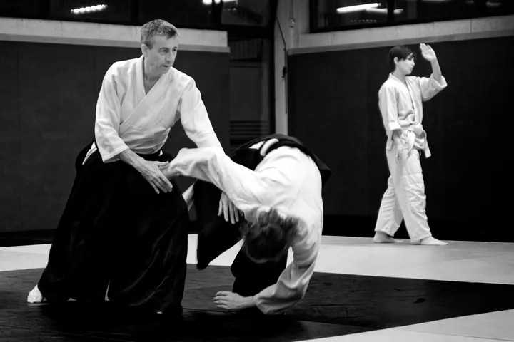 Aikido Nantes Métropole — arts martiaux-studio à Malakoff, Nantes — 3