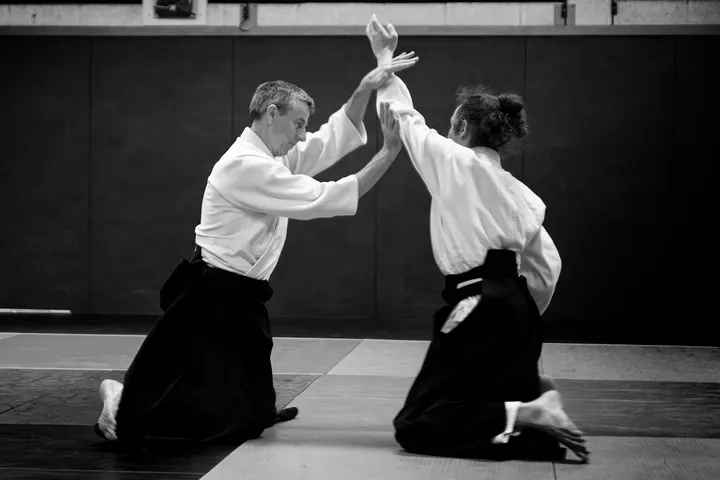 Aikido Nantes Métropole — Arts martiaux à Malakoff, Nantes
