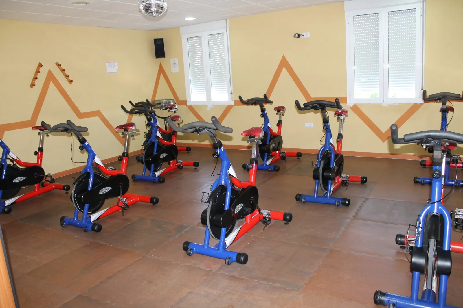 SPORT GYM VISTALEGRE — estudio de fitness-studio en Cerro Muriano — 5