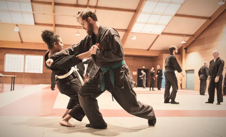 Bujinkan Kitamori Dojo Lille — arts martiaux-studio à Lille — 3