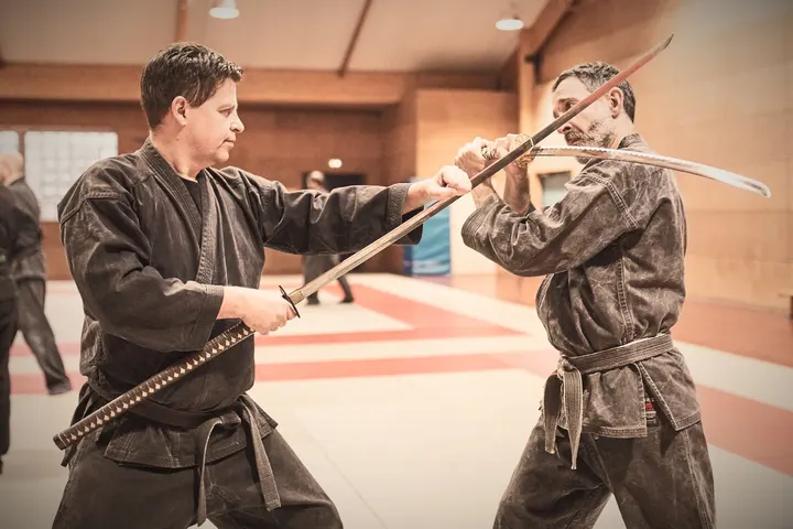 Bujinkan Kitamori Dojo Lille — Arts martiaux à Vieux-Lille, Lille