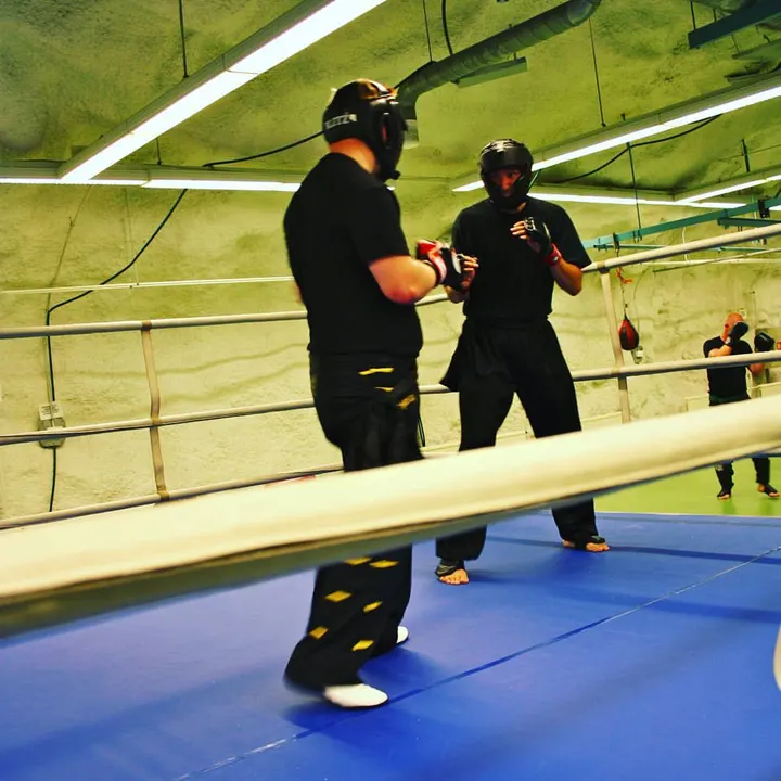 Choy Lee Fut kung fu Tampere ry — kamppailulajit-studio – Tampere — 3