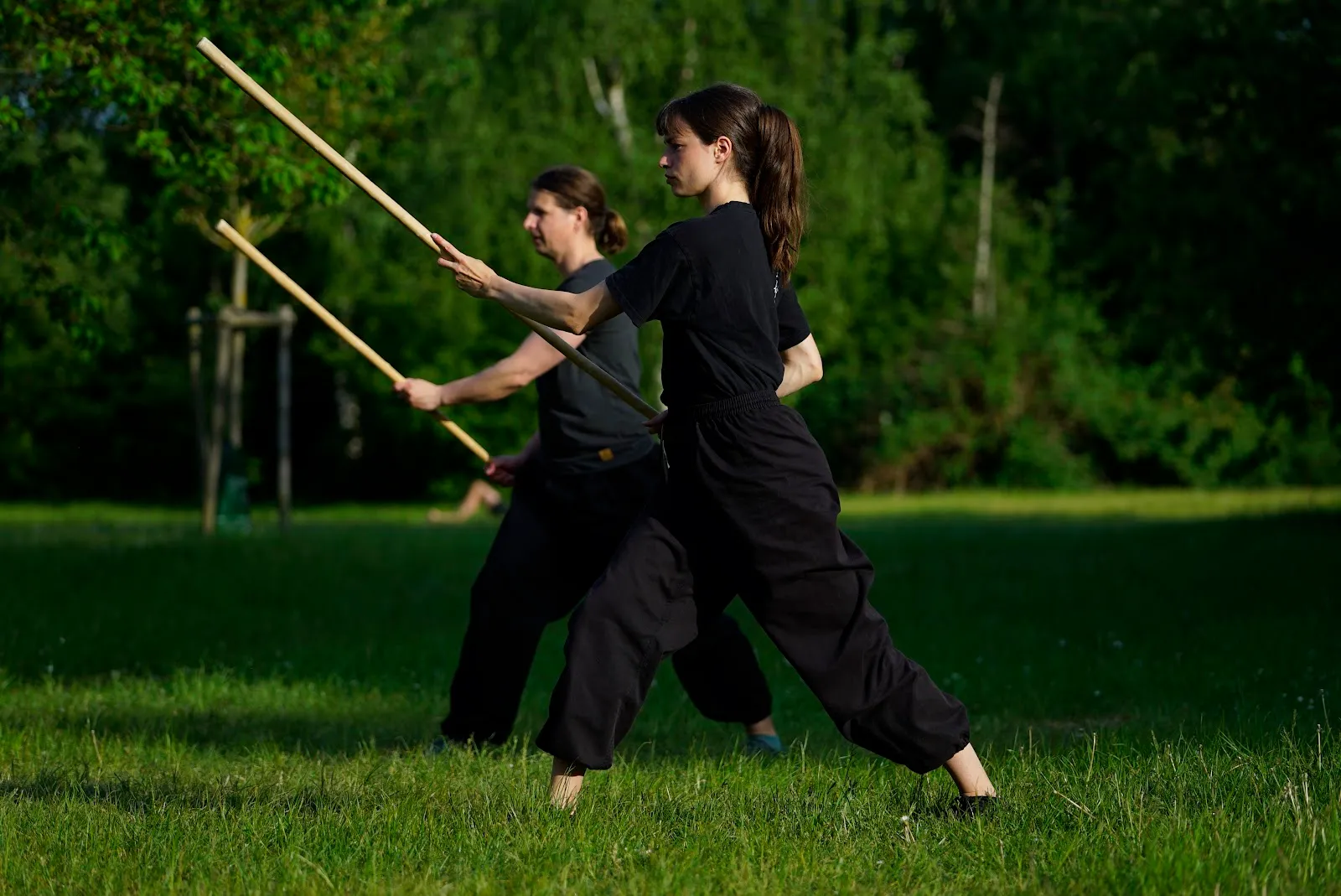 Kampfkunstschule "Thammavong Rostock" — kampfsport-studio in Rostock — 4