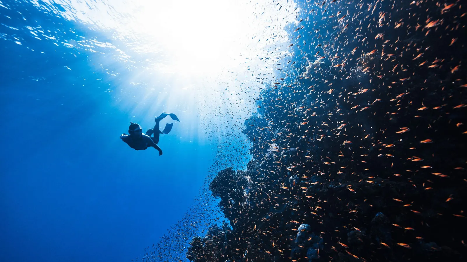 Chikabal - Cursos de Apnea y Terapias Naturales — breathwork-studio en La Laguna — 2