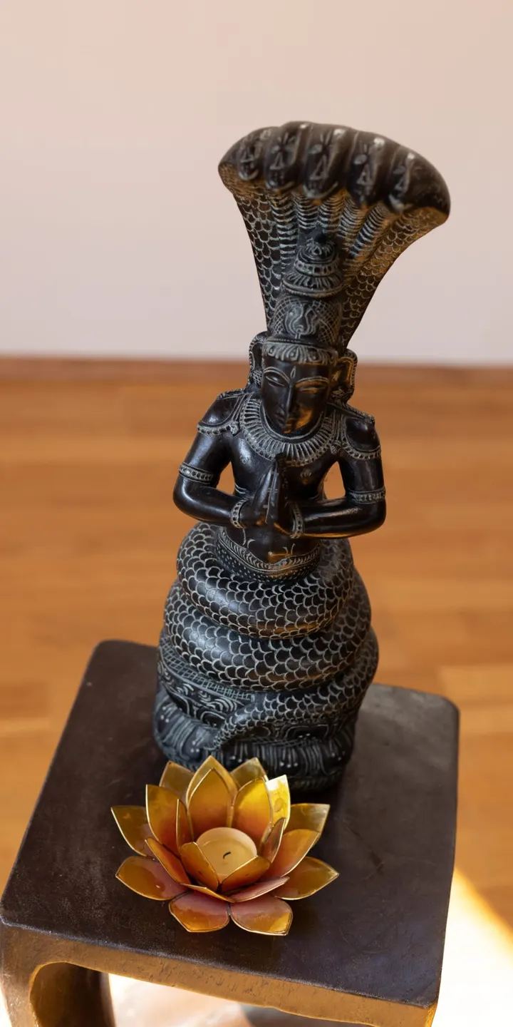 Yogaschule Erlangen YES — yoga-studio in Stadtrandsiedlung, Erlangen — 3