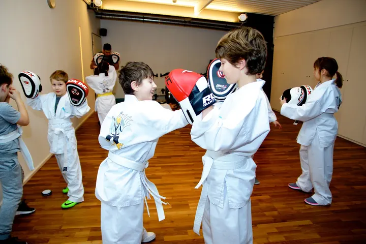 Wing Fight Bad Vilbel — kampfsport-studio in Bad Vilbel, Frankfurt am Main — 3