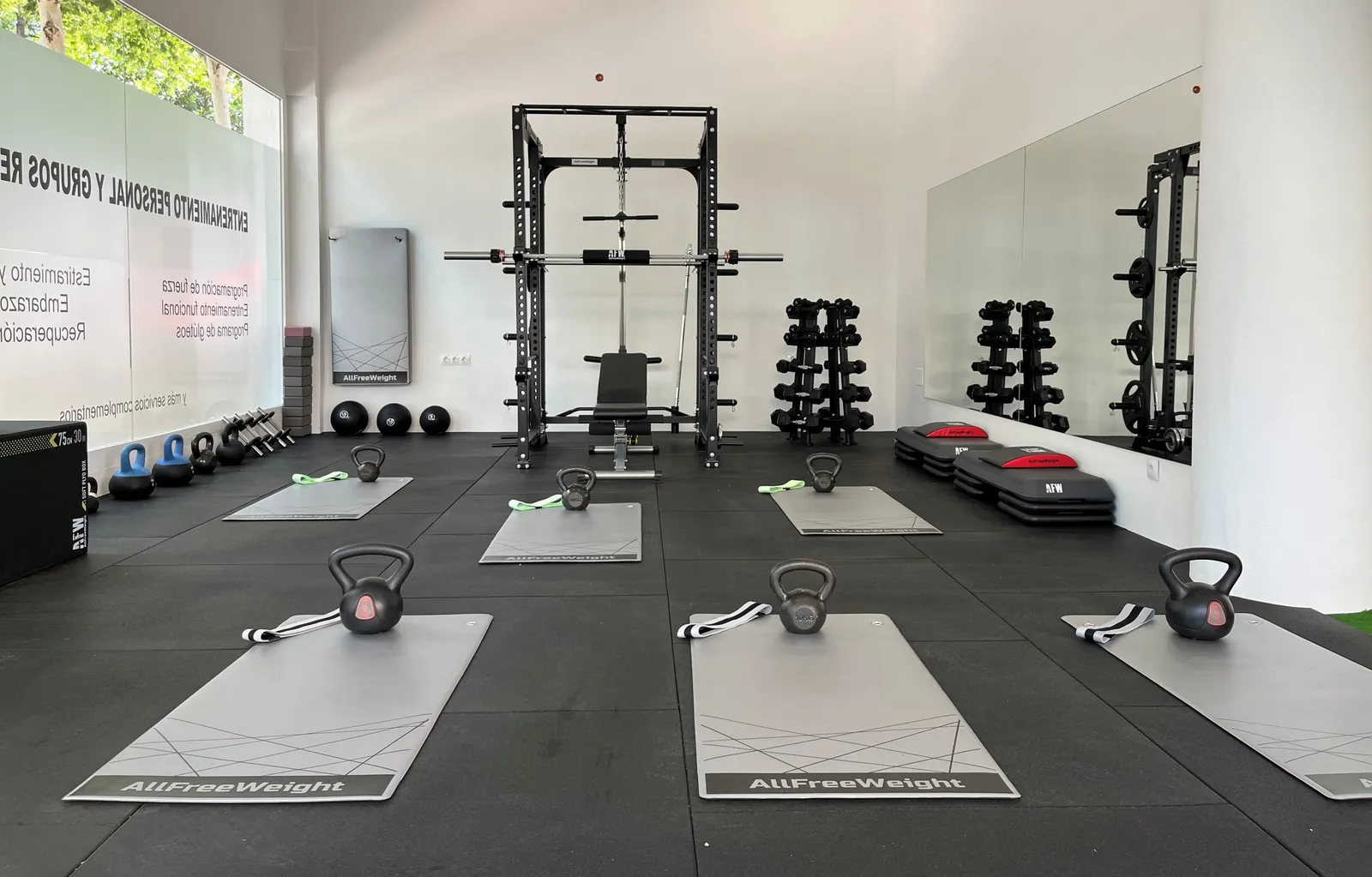 Budha Fit — styrketräning-studio i Miraflores, Marbella — bild 2