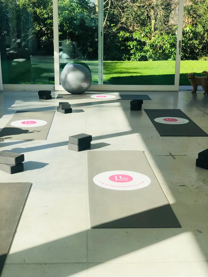 Sandra Leo Pilates — yoga-studio in Frankfurt am Main — 5