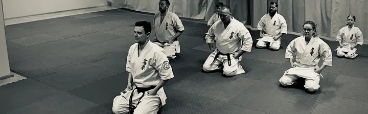 Odense Kyokushin Karate — kampsport-studio i Enghave, Odense — 3