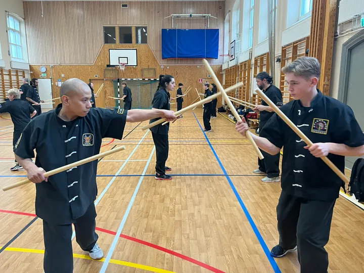Stockholms Wushu Akademi — martial arts-studio in Stockholm — 3