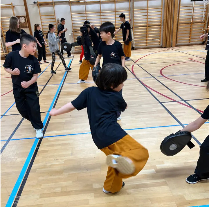 Stockholms Wushu Akademi — martial arts-studio in Stockholm — 6