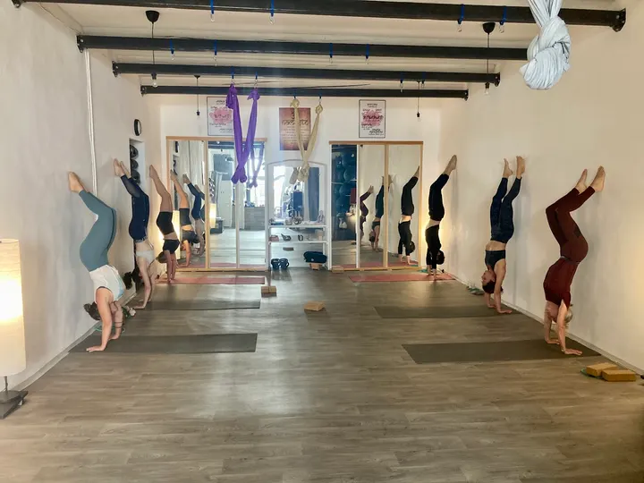 Sat Shala 7e Arrondissement — yoga-studio à 7e Arrondissement, Marseille — 2