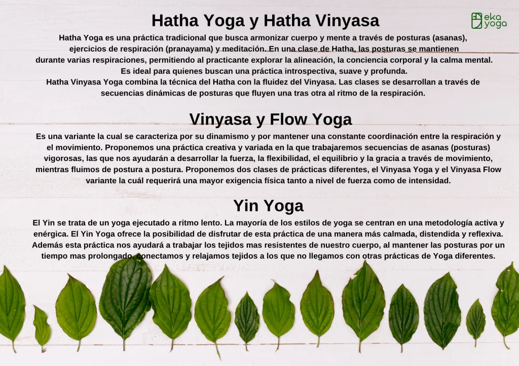 Eka Yoga Lasarte Oria & Orio — yoga-studio i Lasarte-Oria — bild 3