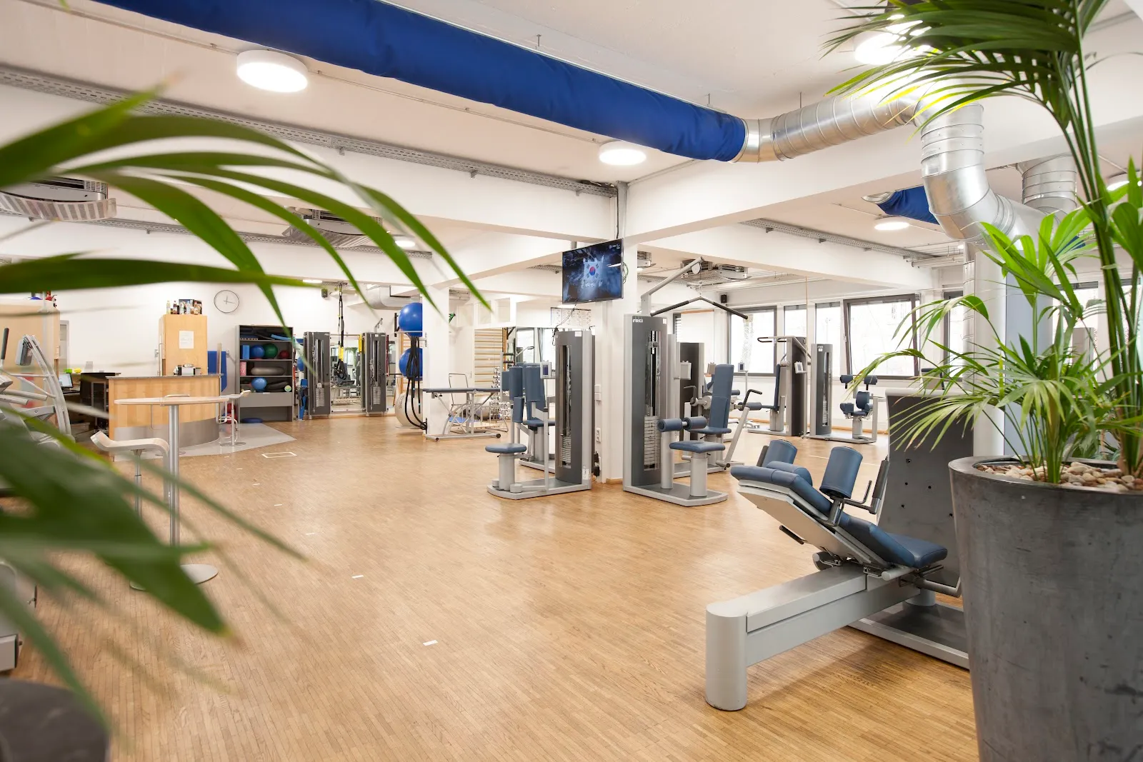 Ars Movendi — fitnessstudio in Schwabing-West, München — 2