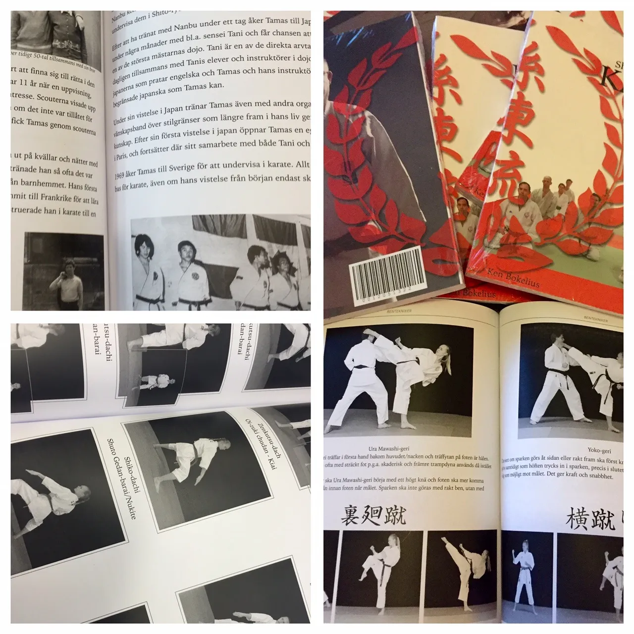 Sanshin Karate Club Vasastan — kampsport-studio i Stockholm — 3