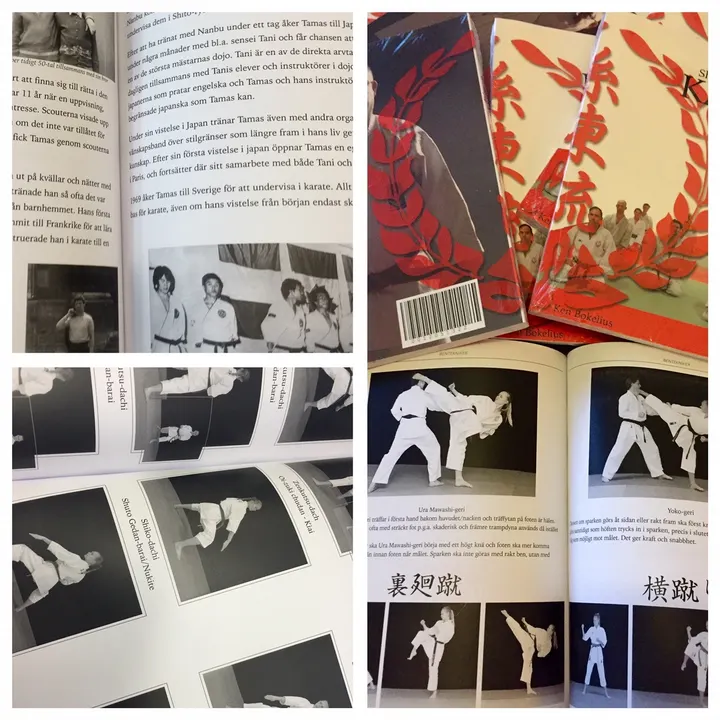 Sanshin Karate Club Vasastan — martial arts-studio in Lilla Essingen, Stockholm — 2