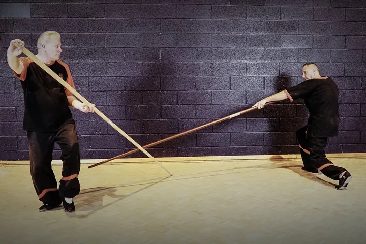 Wing Chun Kung Fu Strasbourg — Arts martiaux à Bischheim
