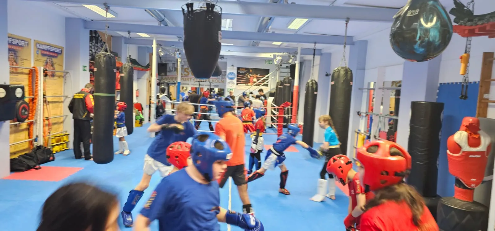 WAKO RINGSPORT NRW — kickboxen-studio in Köln — 5