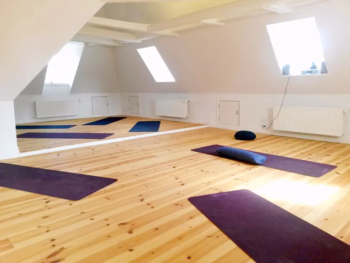 Frederiksberg Have Yoga Frederiksberg Runddel — yoga-studio i Frederiksberg, København — 3