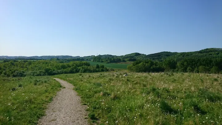 Calle Hunefalk - Coaching i Vejle — pt-studio i Vejle — 3