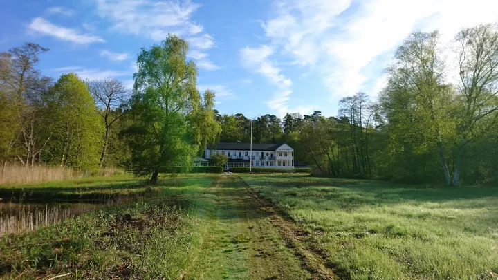 Calle Hunefalk - Coaching i Vejle — pt-studio i Vejle — 4
