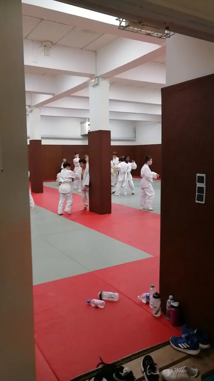 Nice Judo - Salle des Magnolias — arts martiaux-studio à Nice — 4