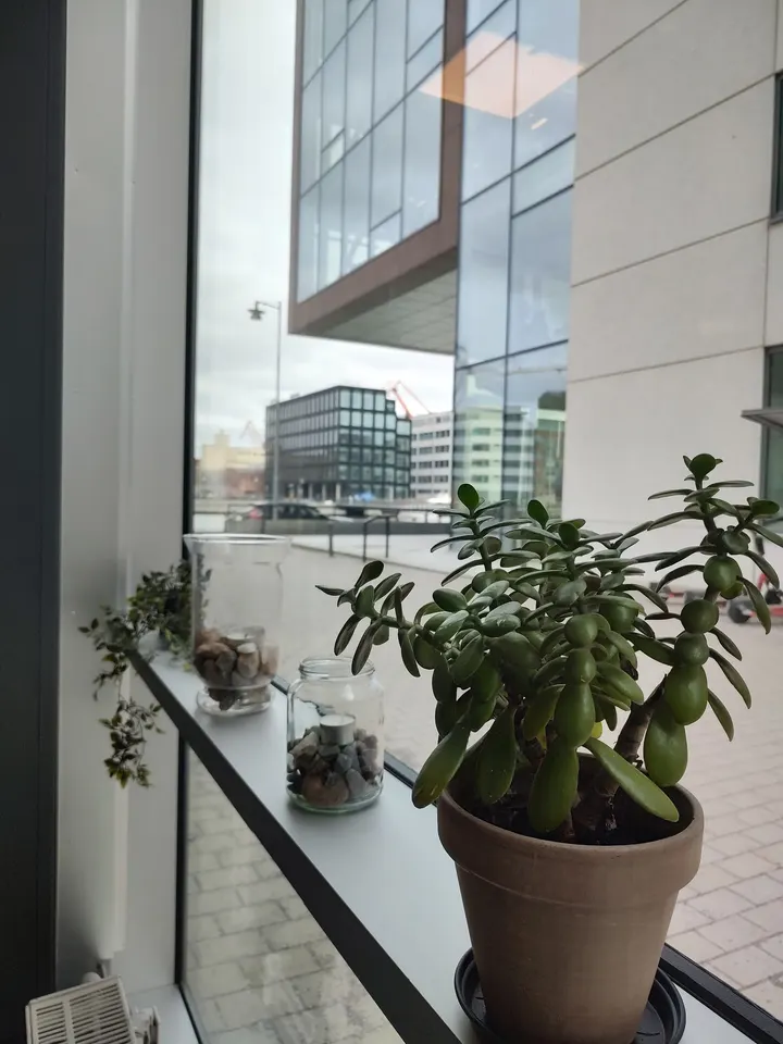 Prehab GBG — funktionell träning-studio i Göteborg — 5