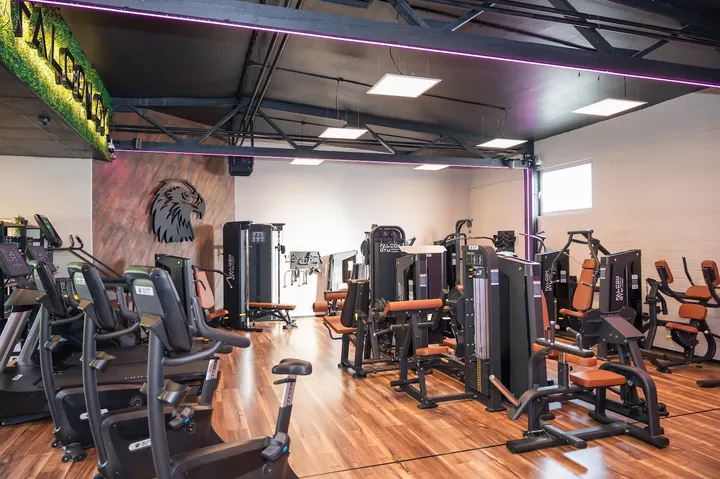 Falcon Gym — fitnessstudio in Bernkastel-Kues — 4