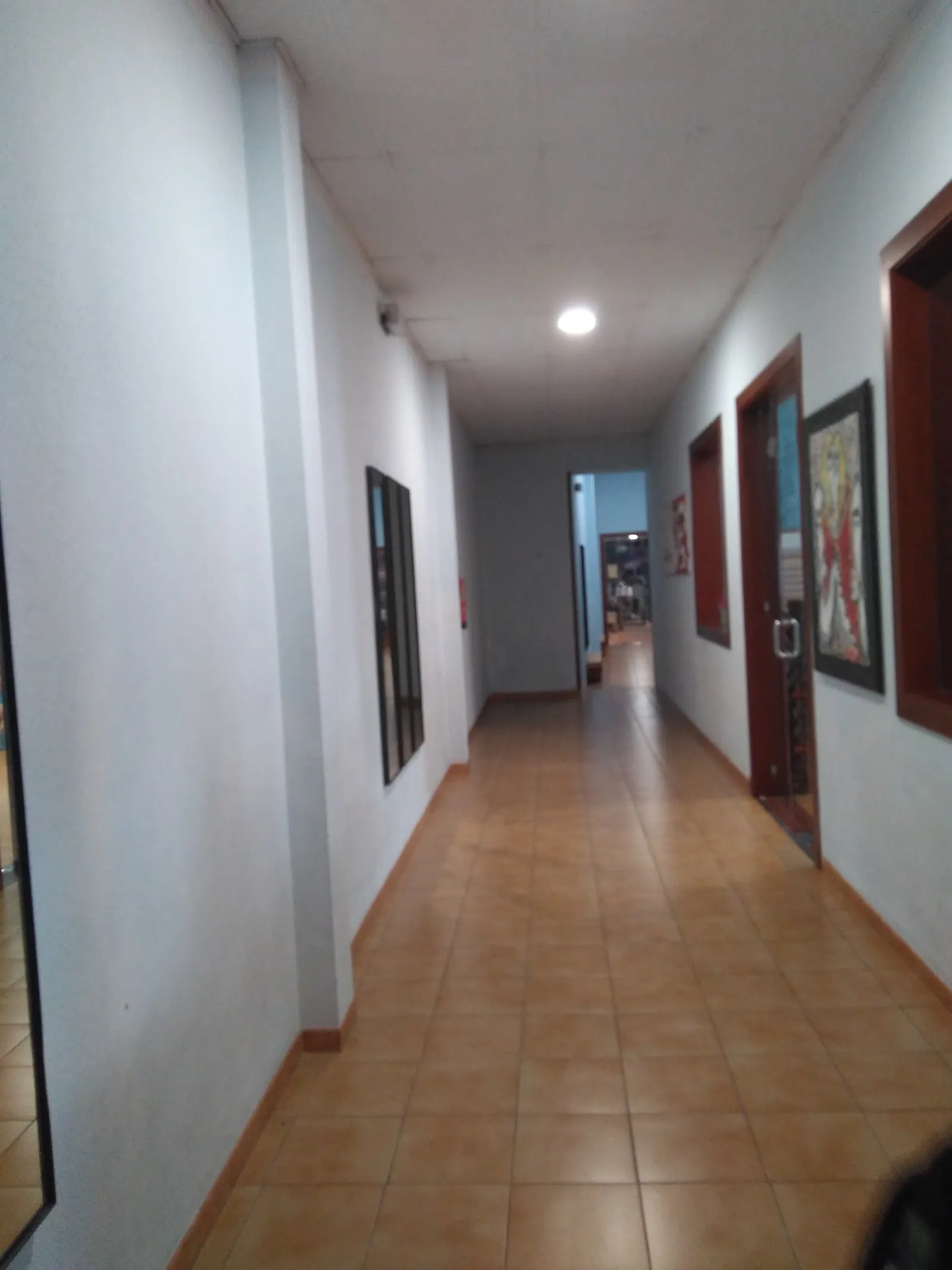 Gimnasio Olimpo Oliva — fuerza-studio en Oliva — 2