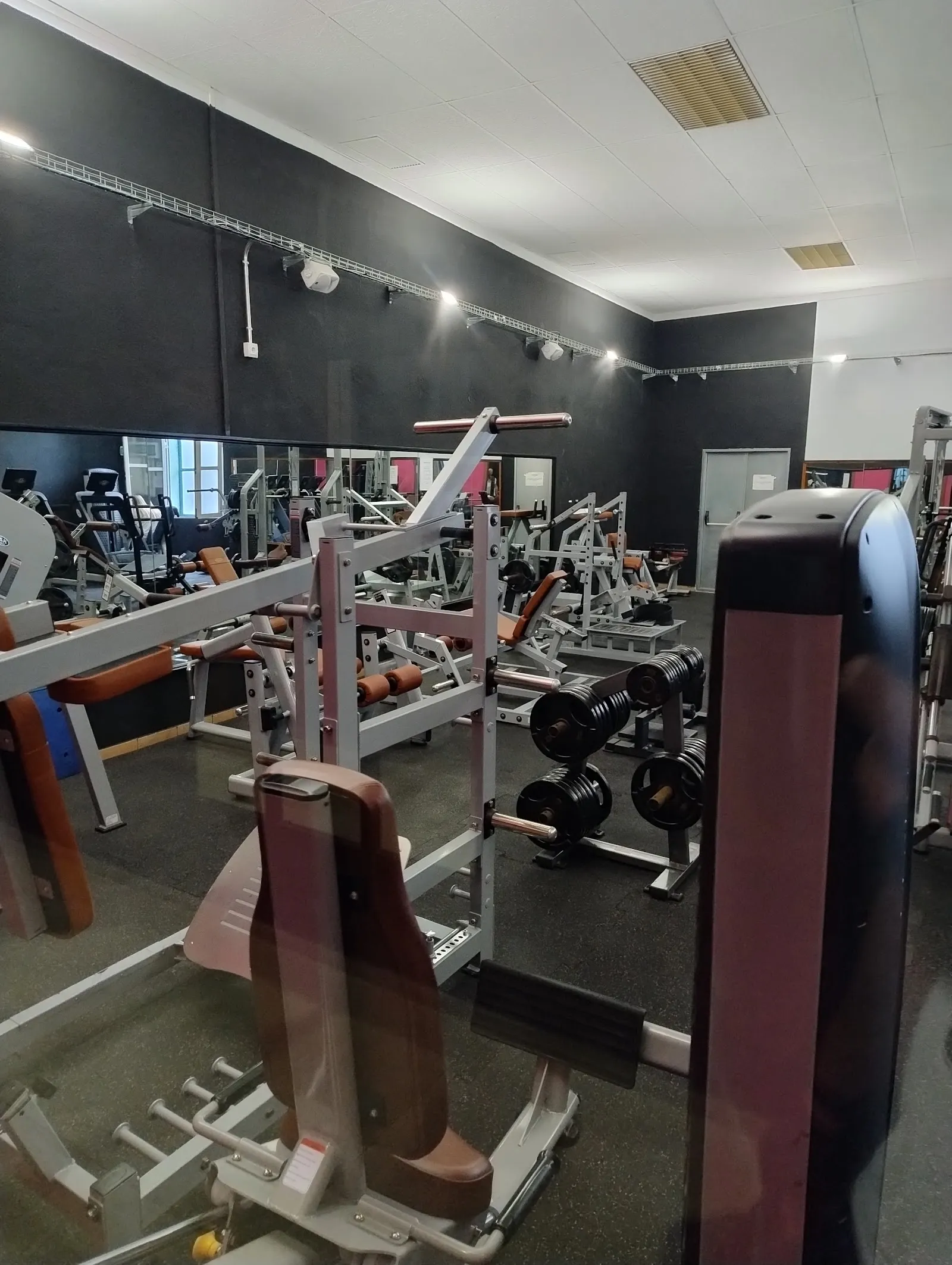Gimnasio Olimpo Oliva — fuerza-studio en Oliva — 3