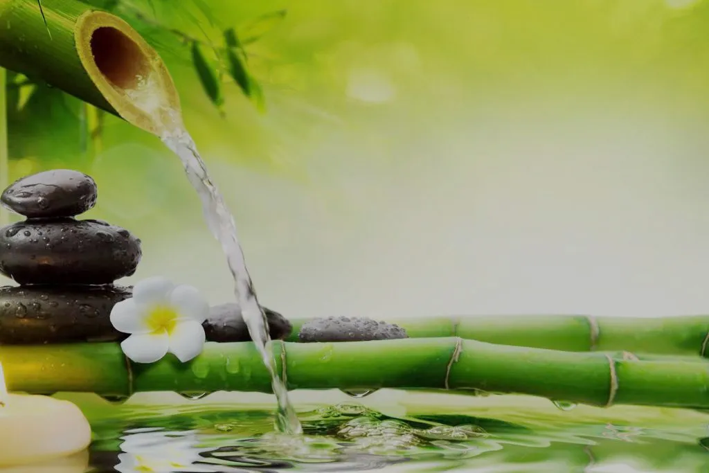 Live Yoga — yoga-studio en Madrid — 3