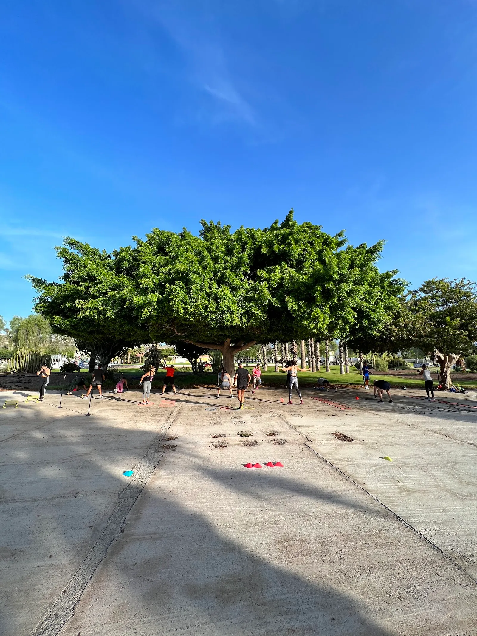 Chris functional training — entrenamiento funcional-studio en Maspalomas, Maspalomas — 3