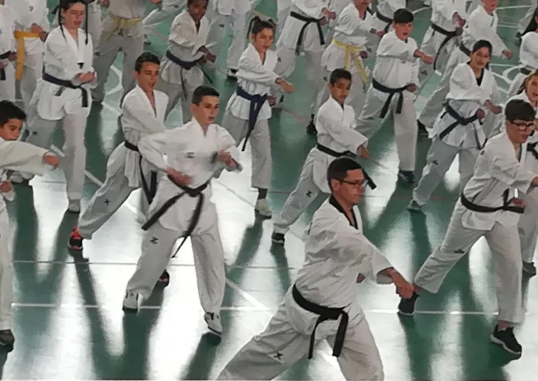 Taekwondo Elche Club Taekwondo Illice — artes marciales-studio en Elche — 3