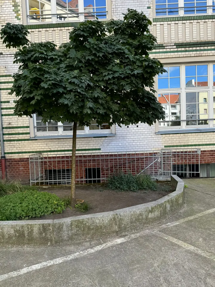 Berlin Breath Club — breathwork-studio in Berlin — 4