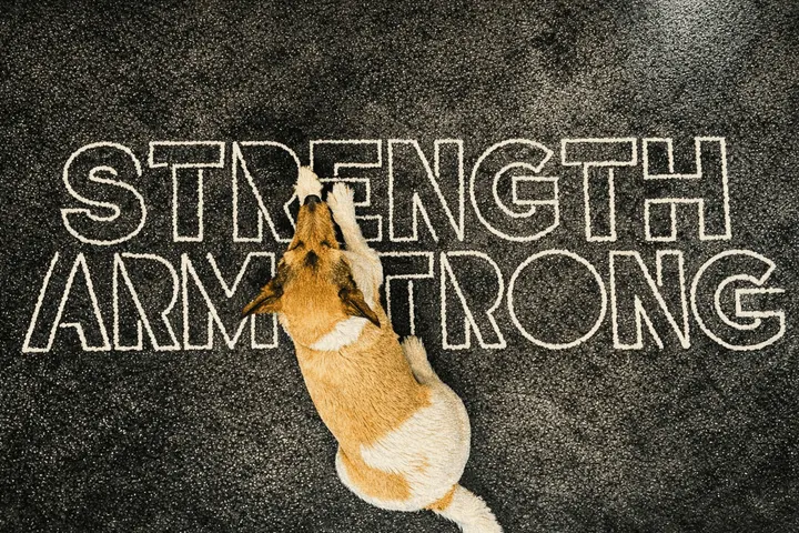 Strength Armstrong — strength-studio in Southwark, London — 2