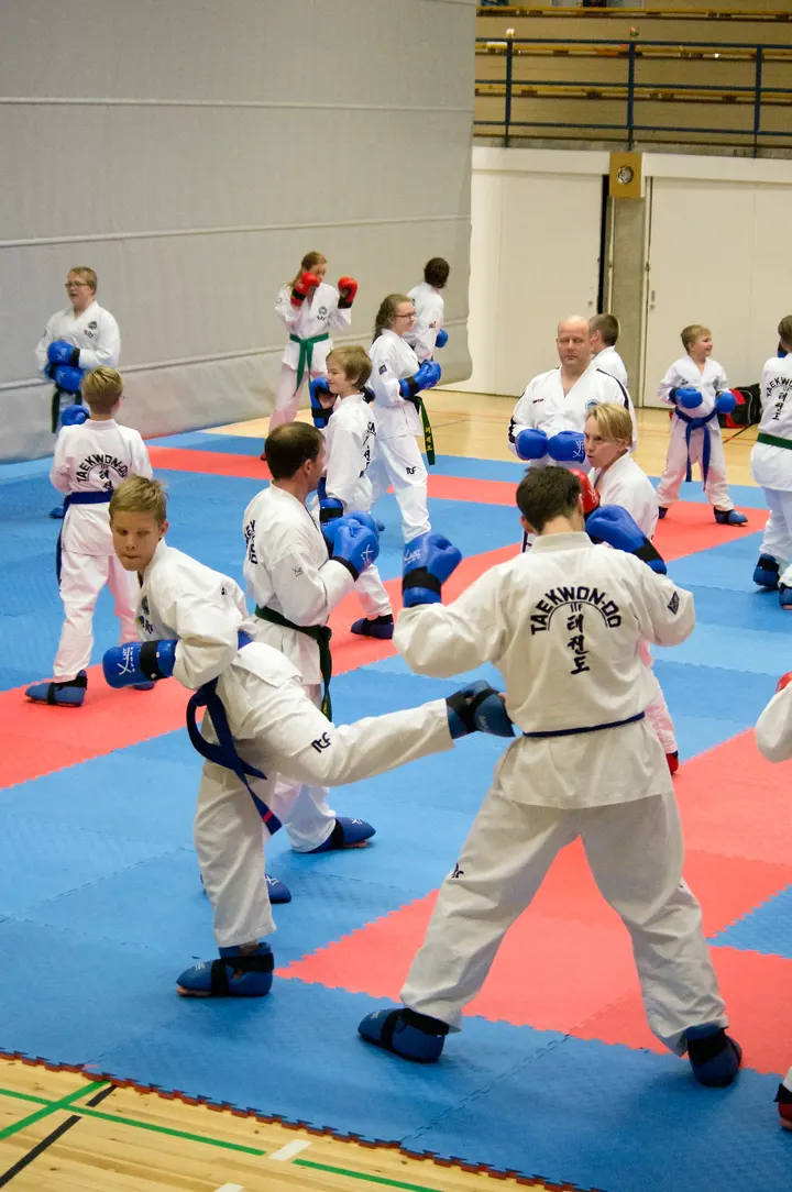 Taekwon-Do Akatemia — kamppailulajit-studio – Äimärautio, Oulu — 3
