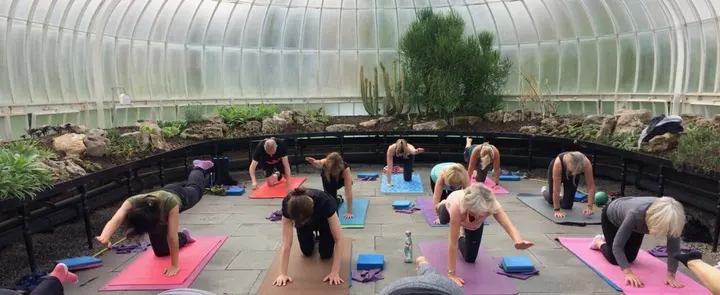 Pilates Glasgow — Reformer Pilates in Partick, Glasgow